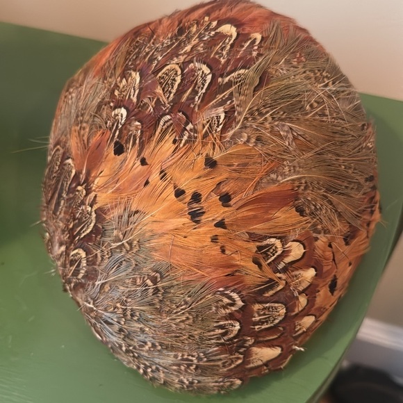 Julia Ann Original vintage  pheasant hat main image 6